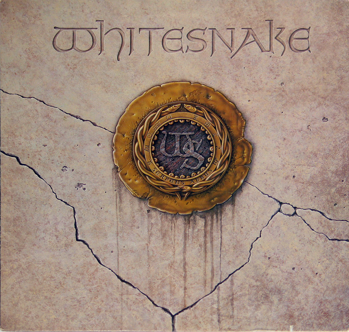 High Resolution Photos of whitesnake self-titled usa 